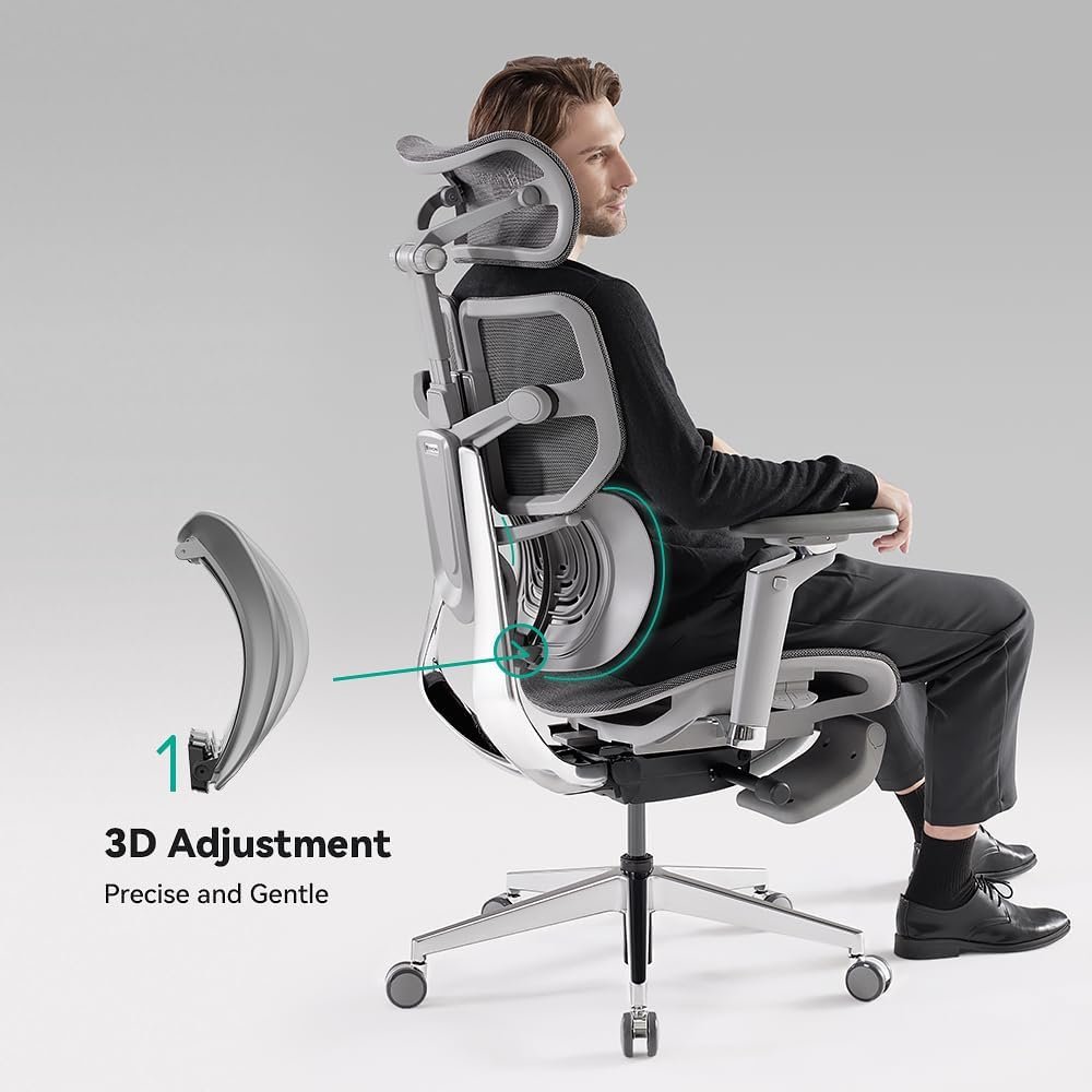 HINOMI X1 High Back Ergonomic Office Chair with Built-in Leg Rest, 6D armrest, 4 Panel Backrest Suitable as Home Office Chair and Computer Chair (Gray, Standard) HINOMI X1 High Back Ergonomic Office Chair with Built-in Leg Rest, 6D armrest, 4 Panel Backrest Suitable as Home Office Chair and Computer Chair (Gray, Standard)