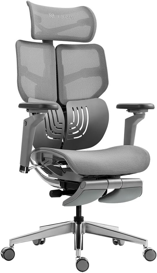 HINOMI X1 High Back Ergonomic Office Chair with Built-in Leg Rest, 6D armrest, 4 Panel Backrest Suitable as Home Office Chair and Computer Chair (Gray, Standard) HINOMI X1 High Back Ergonomic Office Chair with Built-in Leg Rest, 6D armrest, 4 Panel Backrest Suitable as Home Office Chair and Computer Chair (Gray, Standard)