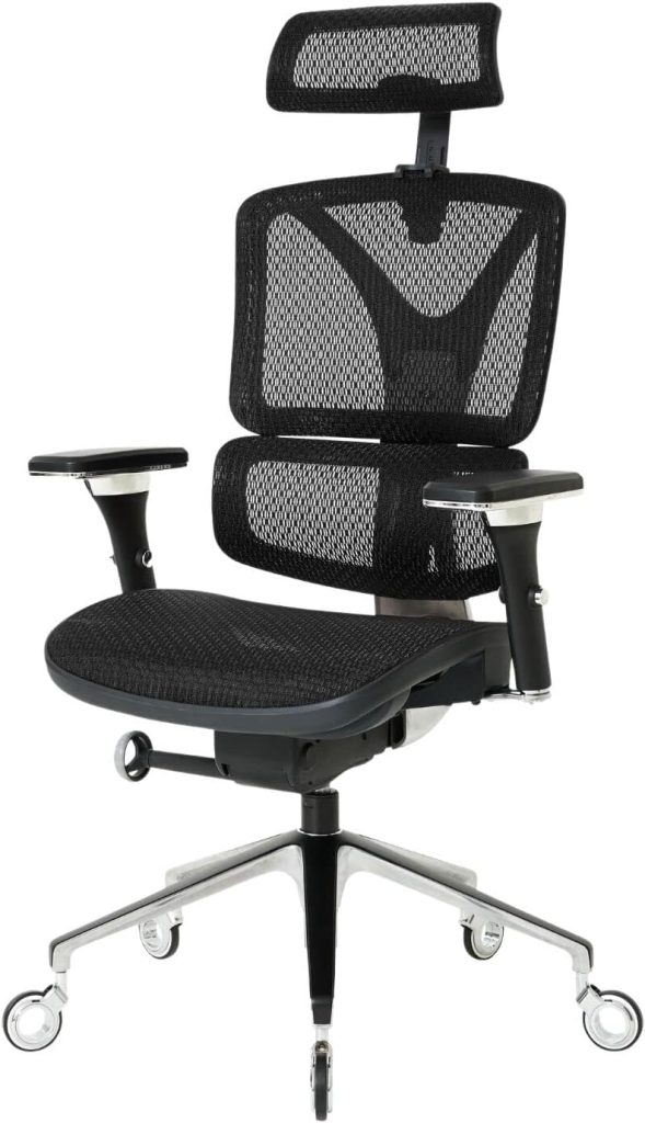 Nouhaus ErgoPRO Ergonomic Office Chair with Back Support, Computer and Dorm Chair for Study. Rolling PROWheels, 360 Degree Swivel, Mesh. (Black)