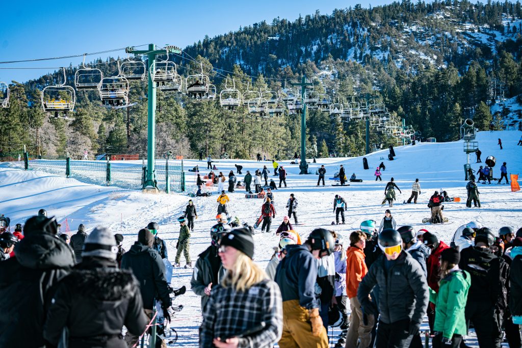 Where Can I Find Acorn Lift Chairs? Where Can I Find Acorn Lift Chairs?