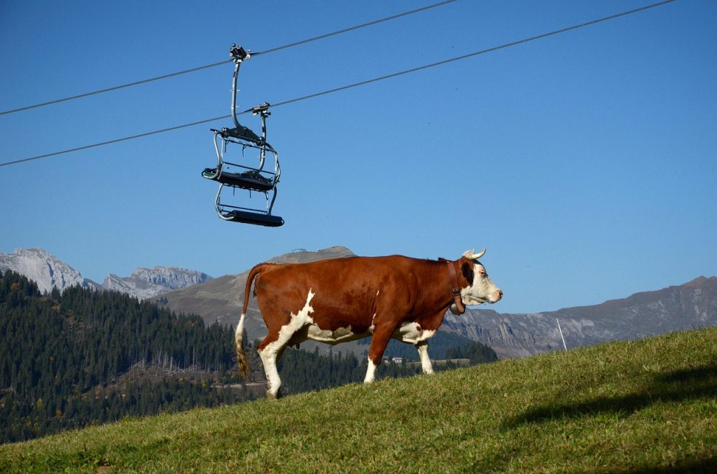 Are There Any Ultracomfort America Lift Chairs Available?