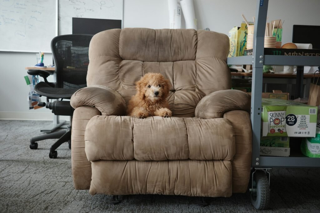 Best Lift Chairs 2019: Top Picks, Safety  Buying Guide