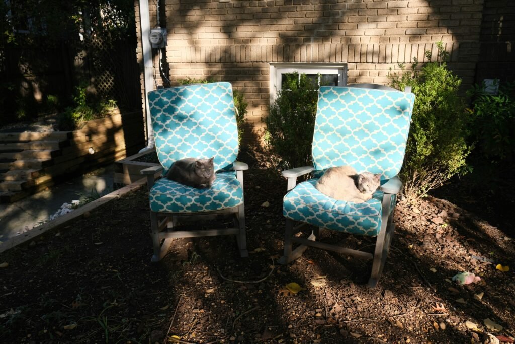 Can I find lift chair covers for my chairs? Expert Options